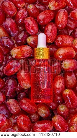 Close Up Grape Seed Oil In A Bottle, Lies On The Berries Of Red, Fresh, Juicy Grapes.