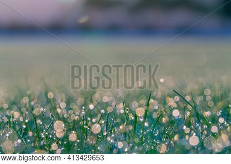 Abstract Dew Drops At Sunrise At Ground Level  In Selective Focus For Conceptual Or Background Use.
