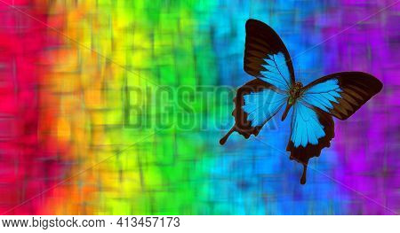 Colors Of Rainbow. Blue Tropical Butterfly Ulysses On A Blurred Multicolored Background.