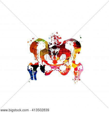 Anatomical Human Pelvis Poster. Healthcare, Medical Checkup And Diagnostic Vector Illustration. Huma