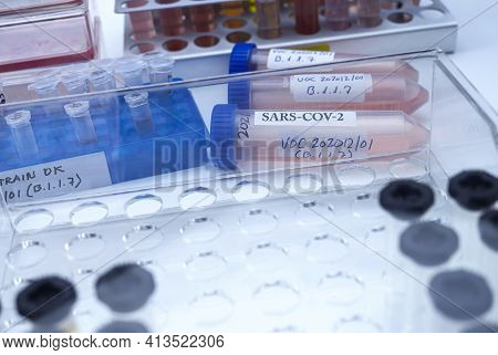 Laboratory Research New Strain Of British Sars-cov-2 Scientifically Named Voc 202012/01 (b.1.1.7), C