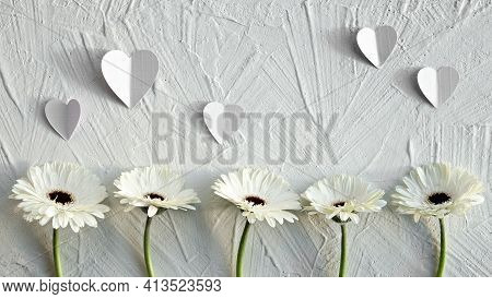 White Gerberas On Off White Textured Background. Off White Gerbera Daisy Natural Fresh Flowers In A 