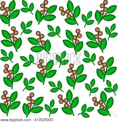 Natural Seamless Pattern With Abstract Coffee And Tea Plants Isolated On White Background. Colorful 