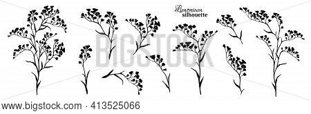 Set Of Black Limonium Branches. Vector Illustration