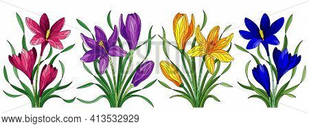 Set Of Illustrations In The Stained Glass Style With Floral Arrangements Of Hyacinths, Flowers Isola