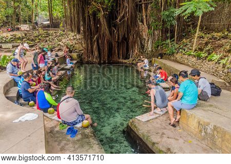 Siquijor, Philippines - February 9, 2018: People Enjoy A Natural Fish Spa At The Old Enchanted Balet
