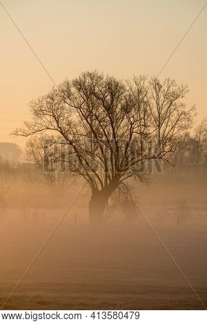 On A Frosty Morning In The Field, A Nice Layer Of Fog Has Formed On The Land, Which Makes This Beaut