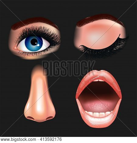 Set Of Beautiful Female Eyes With Extended Eyelashes, Nose And Smiling Mouth With Glossy Lips. Black
