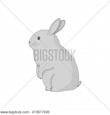The Rabbit Is Sitting Isolated On White.