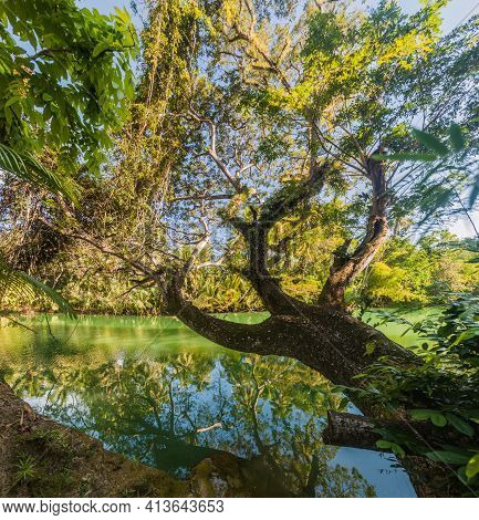 View Of Loboc River On Bohol Island, Philippin