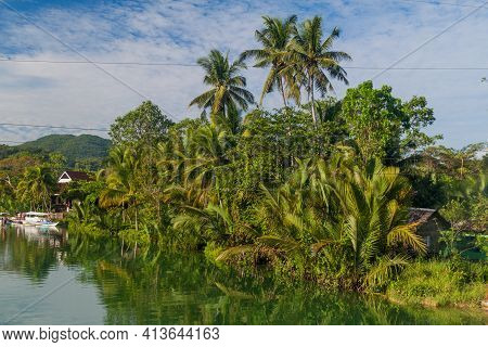 View Of Loboc River On Bohol Island, Philippin