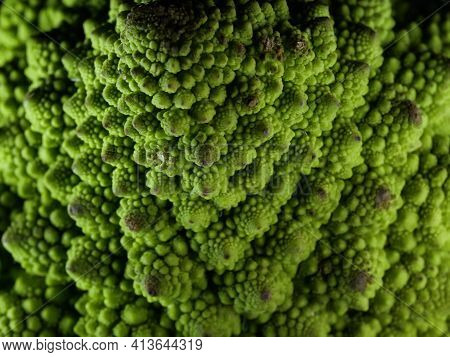 Romanesco Broccoli Cabbage Or Roman Cauliflower, Plant Macro
