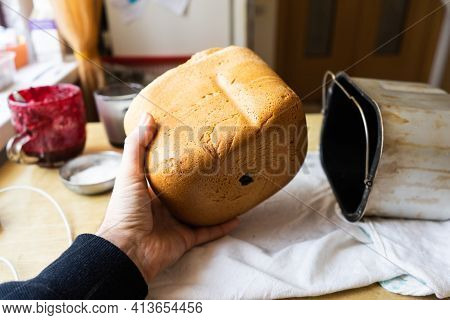 Home Baked Bread. \rfreshly Made White Bread Is Removed From The Bread Pan