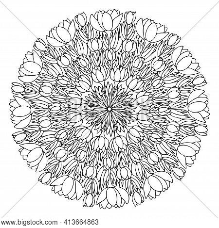 Blossom Crocus Flowers Mandala Line Art Stock Vector Illustration. Funny Spring Floral Mandala Black