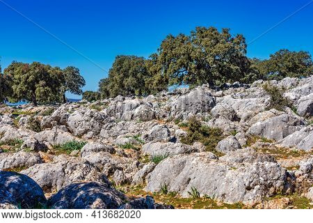 Landscape Near The Little Town Cuevas Del Becerro In Province Malaga, Andalusia, Spain