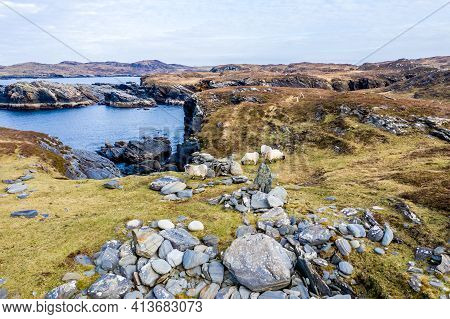 Sheep At The Coastline At Dawros In County Donegal - Ireland
