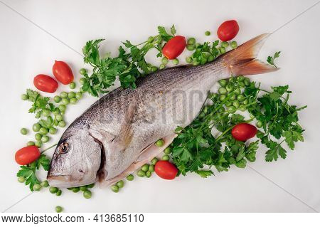 Whole Dentex Fish Ready To Cook Top View, Against White Background. Close Up Of Freshwater Seafood, 