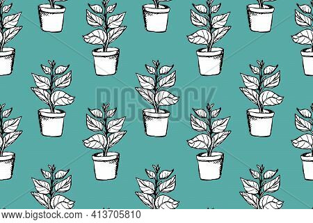 Outlined Ficus Plant In White Pot Vector Seamless Pattern. Hand Drawn Doodle House Gardening Pattern