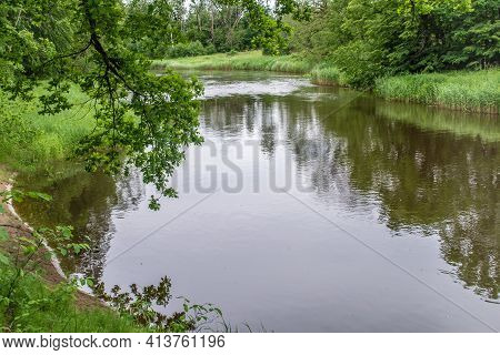 Bend Of Ogre River. Coast Overgrown With Reeds. Branches Of Treees Hang Over Water. Green Nature Of 