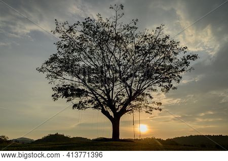 Silhouette Of A Wooden Swing Under The Tree. Lonely And Relaxing Golden Ligth On Sunset On Summer Ho