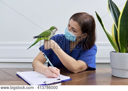 Doctor Woman Veterinarian Examining A Green Quaker Parrot