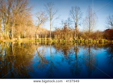 Reflexe