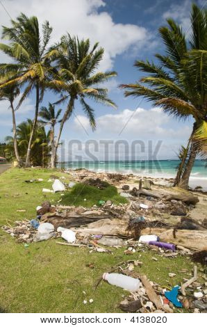 Nicaragua Sallie Peachie spiaggia cucciolata Malecon North End Corn Island