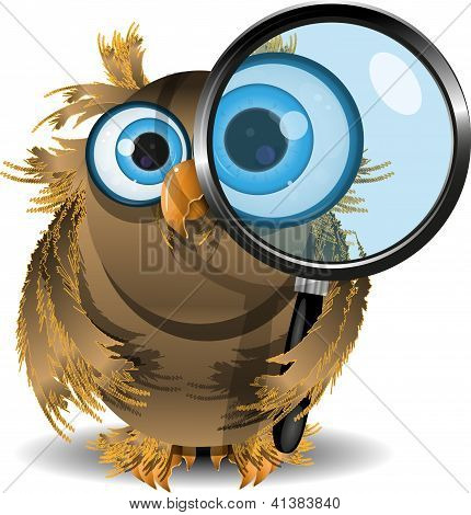 Hibou curieux
