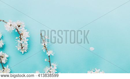 Spring Background Blue With Flower Blossom And April Floral Nature In Beautiful Scene With Blooming 