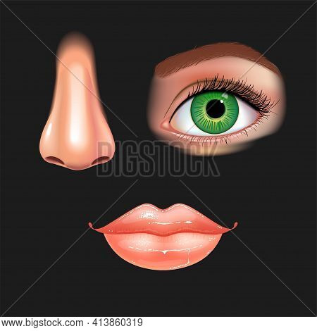 Set Of Beautiful Female Eye With Extended Eyelashes, Nose And Shining Mouth With Glossy Lips. Black 