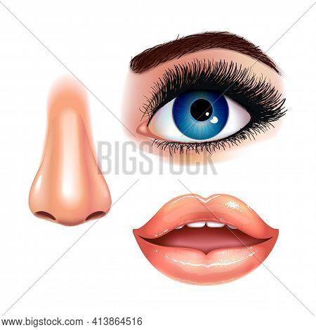 Set Of Beautiful Female Eye With Extended Eyelashes, Nose And Shining Mouth With Glossy Lips. Realis