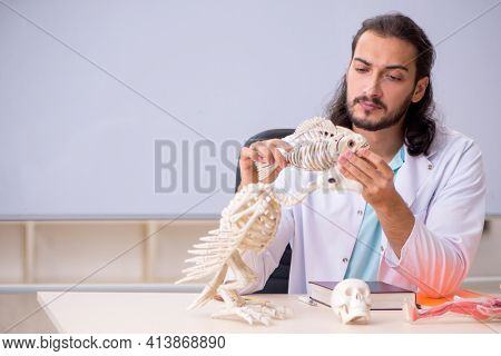 Young male zoologist examining fish skeleton