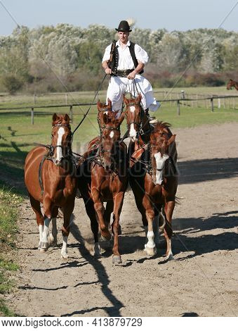 Puszta, Hungary, September, 04. 2020: Hungarian Csikos In Traditional Folk Costume Showing His Train