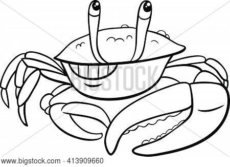 Black And White Cartoon Illustration Of Funny Fiddler Crab Animal Character Coloring Book Page