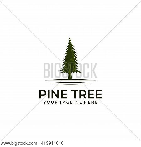 Pine Tree Logo Vector Illustration Design Icon