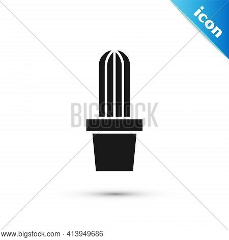 Grey Cactus Peyote In Pot Icon Isolated On White Background. Plant Growing In A Pot. Potted Plant Si