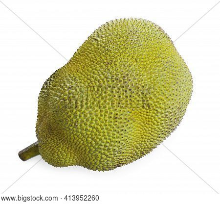 Delicious Fresh Exotic Jackfruit Isolated On White