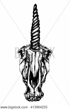 Vector Illustration Of A Black And White Hand Drawn Skull Unicorn On A White Background