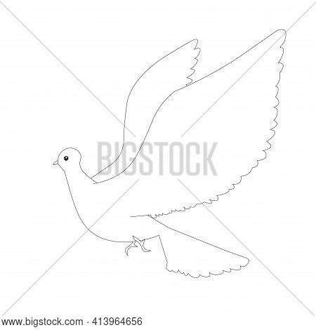 Dove Fly Sketch Design Element Stock Vector Illustration For Coloring Book, Anti Stress Page Stock V