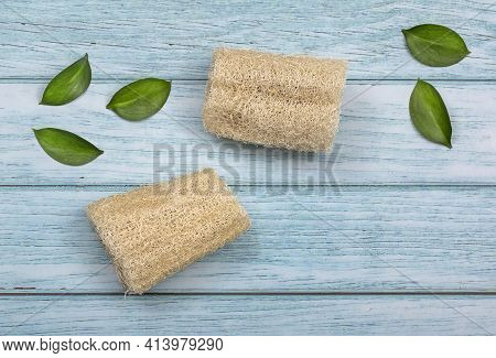 Fibrous Vegetable Cleaning Sponge - Luffa Operculata