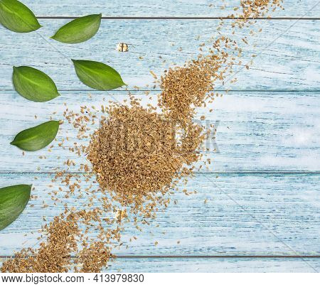 Dried Fennel Seeds - Foeniculum Vulgare. Text Space