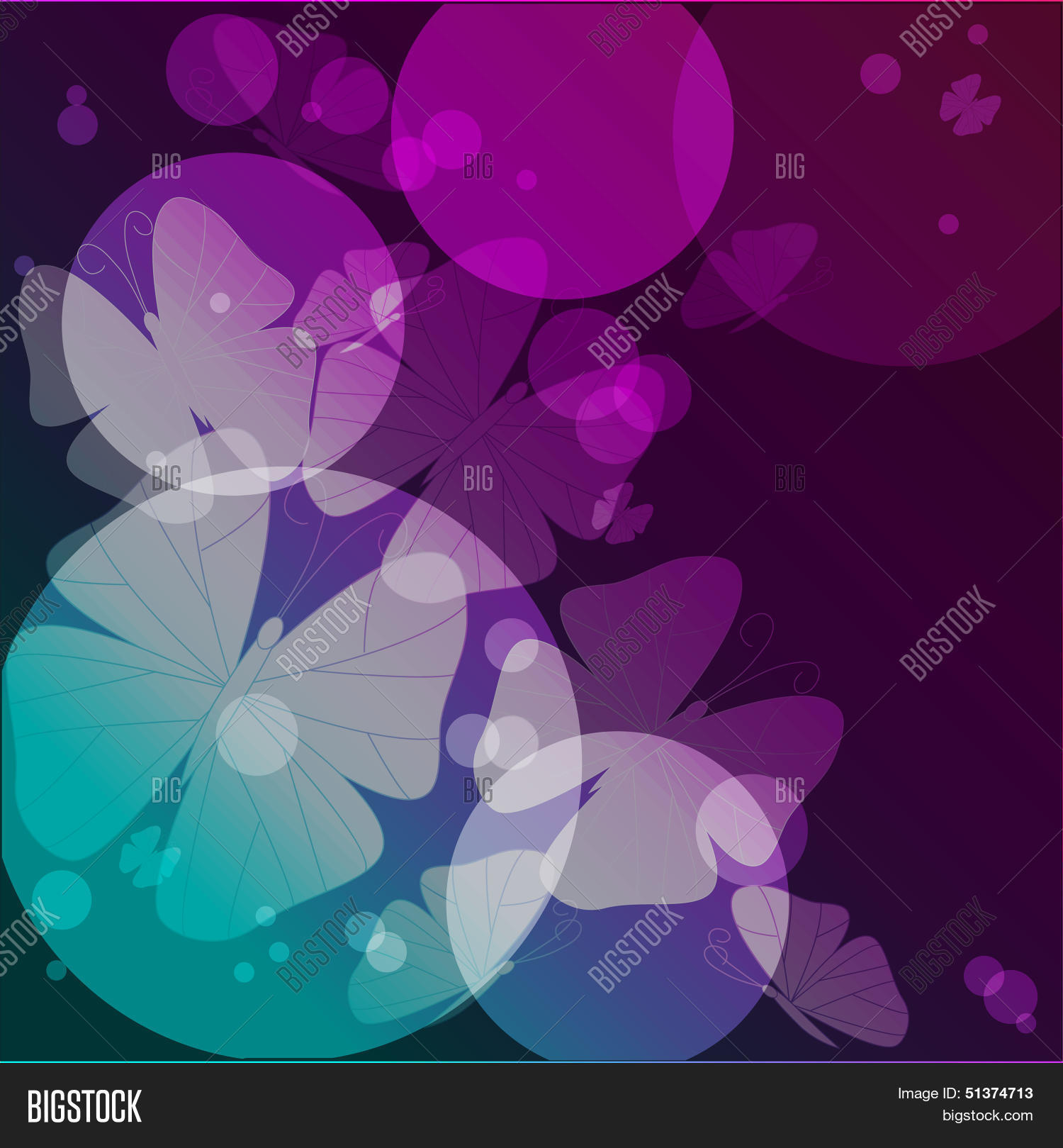 Butterflies Circles Vector & Photo (Free Trial) | Bigstock