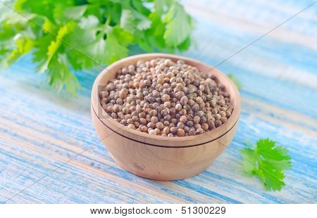 coriander