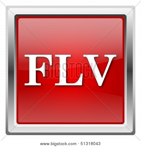 Flv Icon