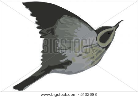 Pájaro dibujado