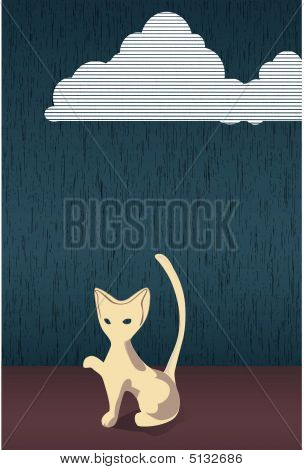 Gato bajo la lluvia