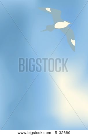 Aves del cielo