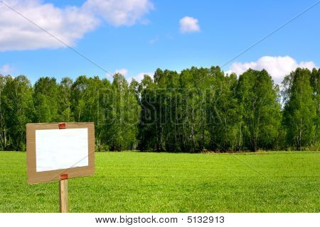 Wegweiser auf der Wiese