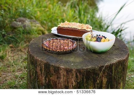 Food For Picknick In Nature: Quiche With Tomato, Cake And Fruits