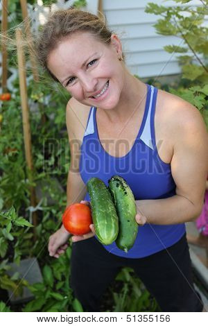 Picking Tomatoes And Cucumbers